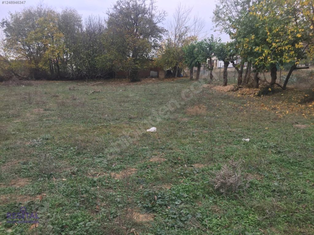 x16_12489463474st